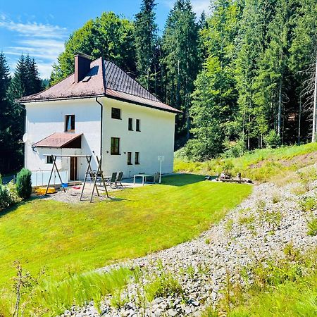 Ferienhaus Lebenskraft Pfaffetschlag Buitenkant foto