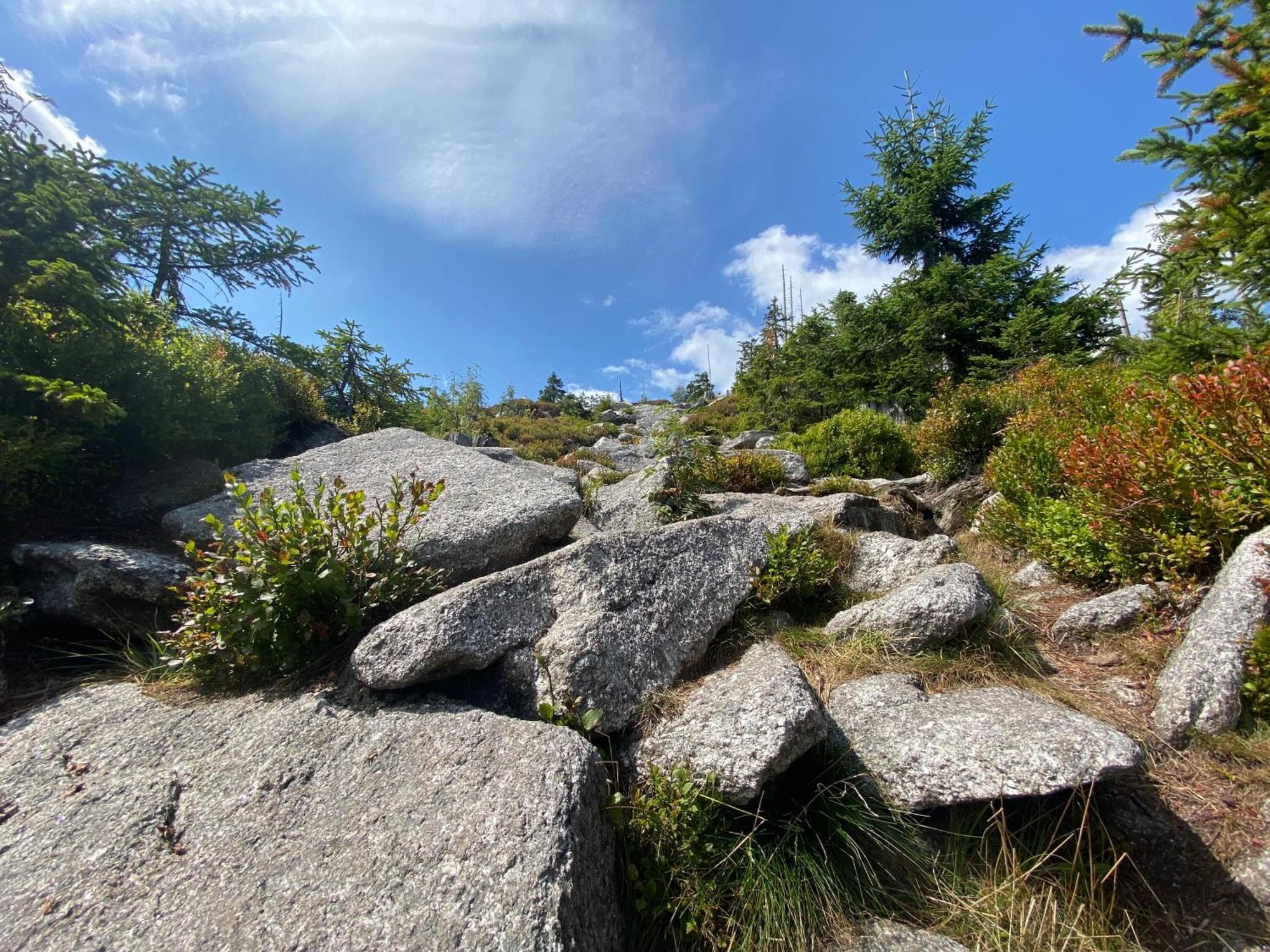 Ferienhaus Lebenskraft Pfaffetschlag Buitenkant foto